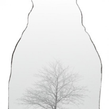 PŘÁNA (tisk)